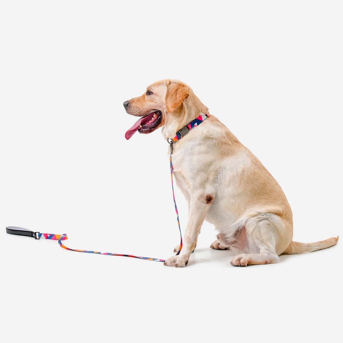 Paw Journeys Colorful Plaid  Dog Collar & Leash Kits-Reflective Red-04