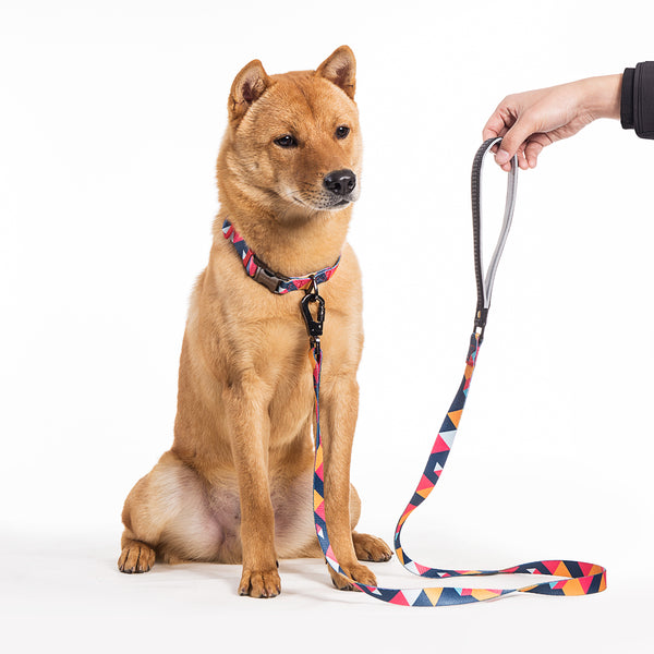 Paw Journeys | Colorful Plaid  Dog Collar & Leash Kits-Reflective