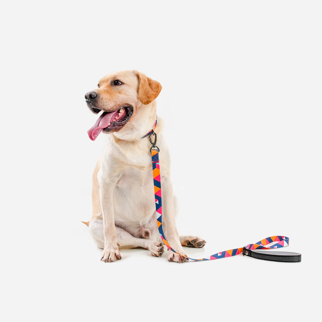 Paw Journeys Colorful Plaid Dog Leash-Reflective Red-03