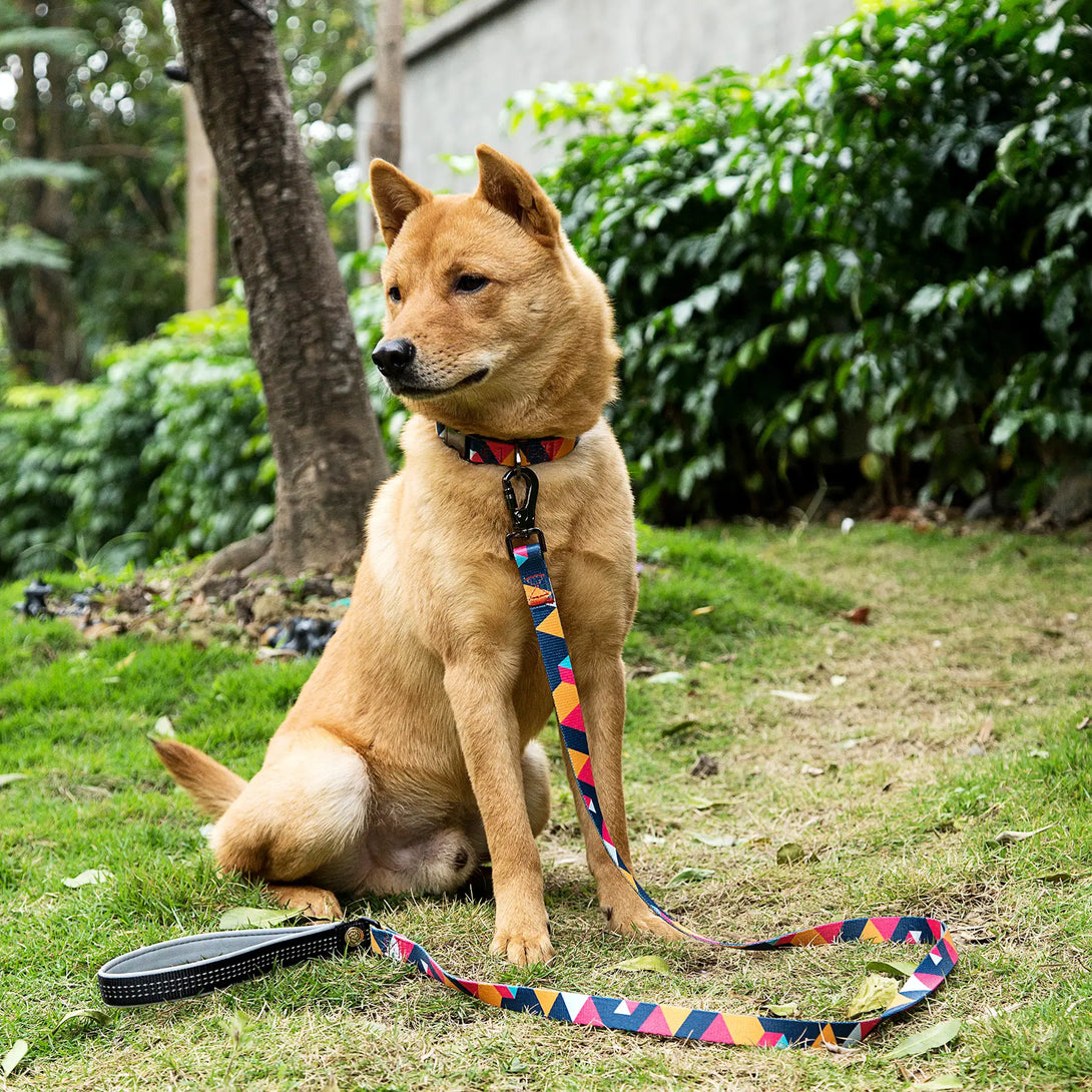 Paw Journeys Colorful Plaid  Dog Collar & Leash Kits-Reflective Red-05