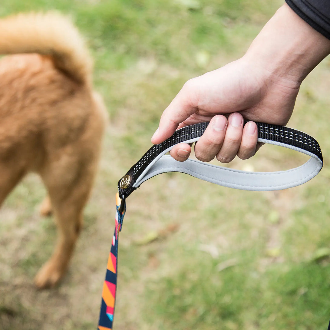 Paw Journeys Colorful Plaid  Dog Collar & Leash Kits-Reflective Red-06