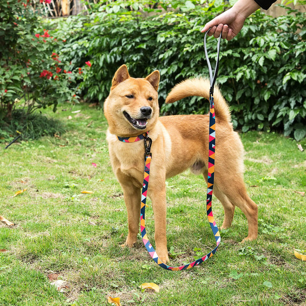 Paw Journeys Colorful Plaid  Dog Collar & Leash Kits-Reflective Red-07
