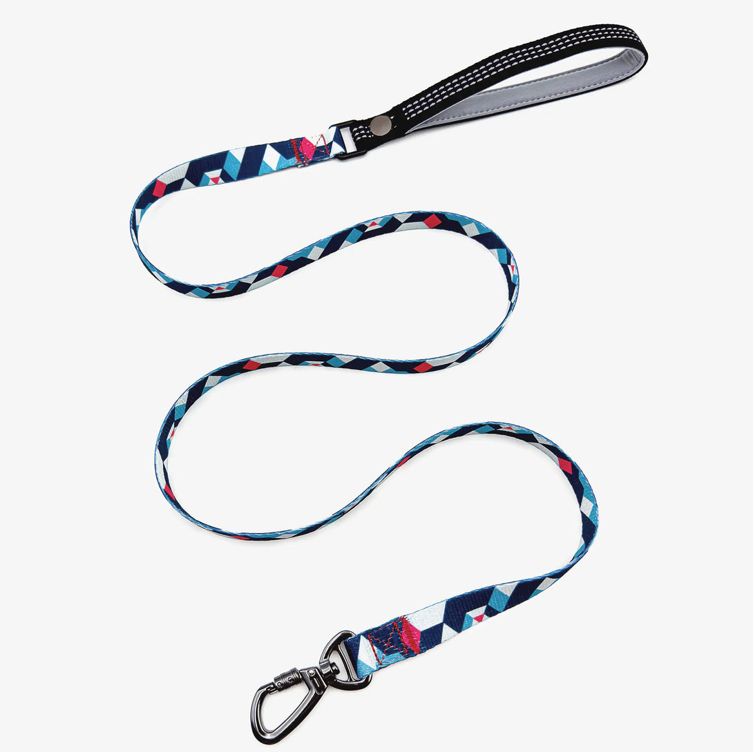 Paw Journeys Colorful Plaid Dog Leash-Reflective Blue