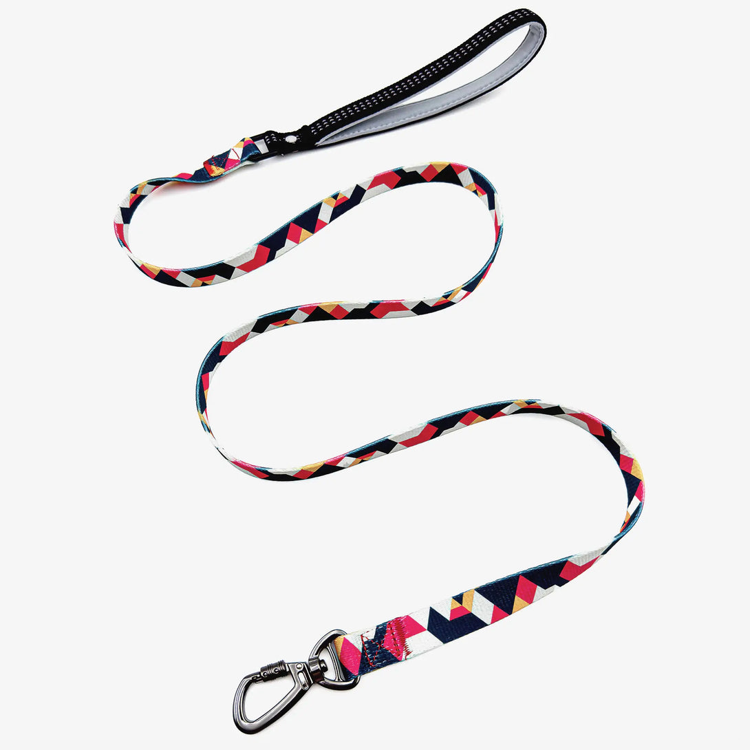 Paw Journeys Colorful Plaid Dog Leash-Reflective Orange