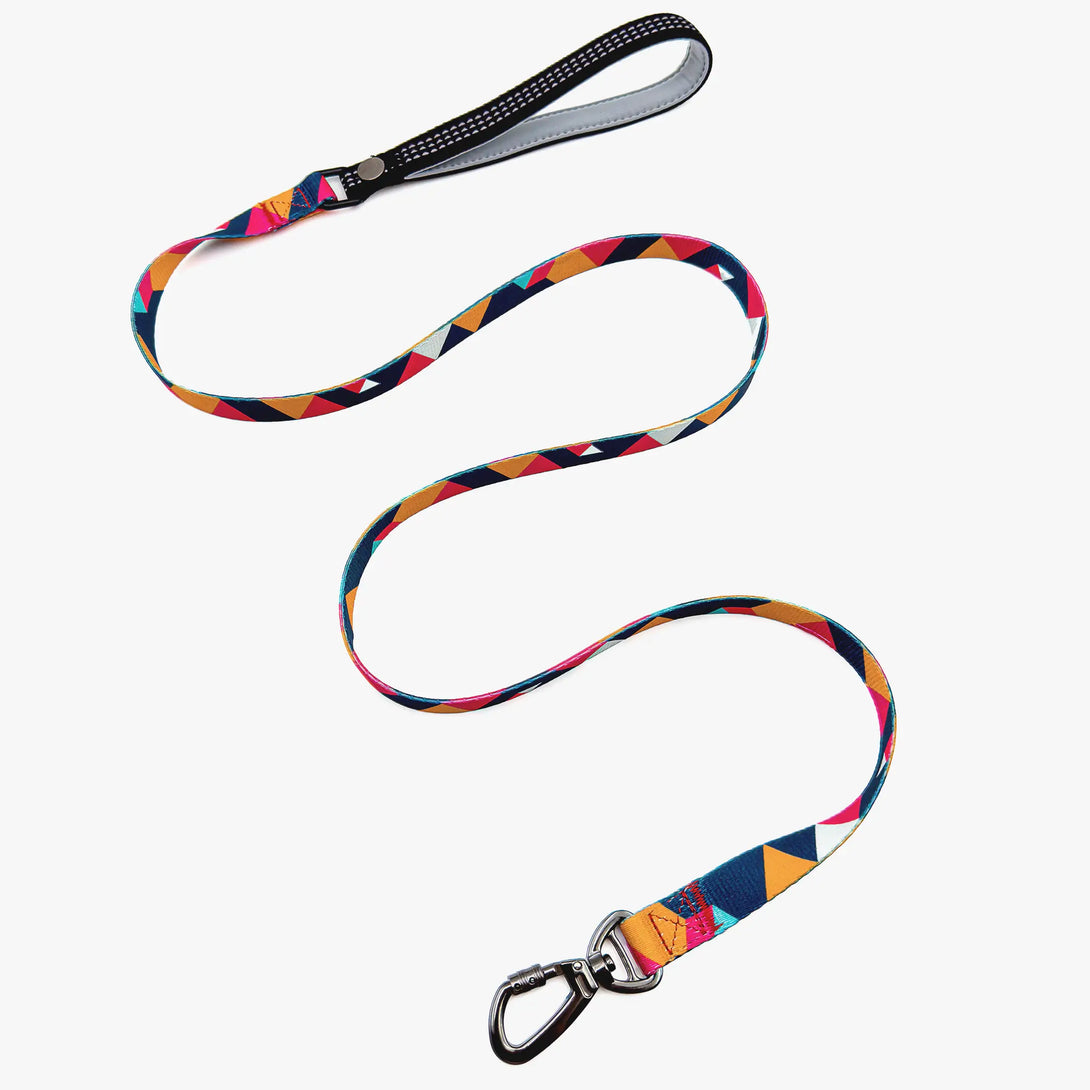Paw Journeys Colorful Plaid Dog Leash-Reflective Red