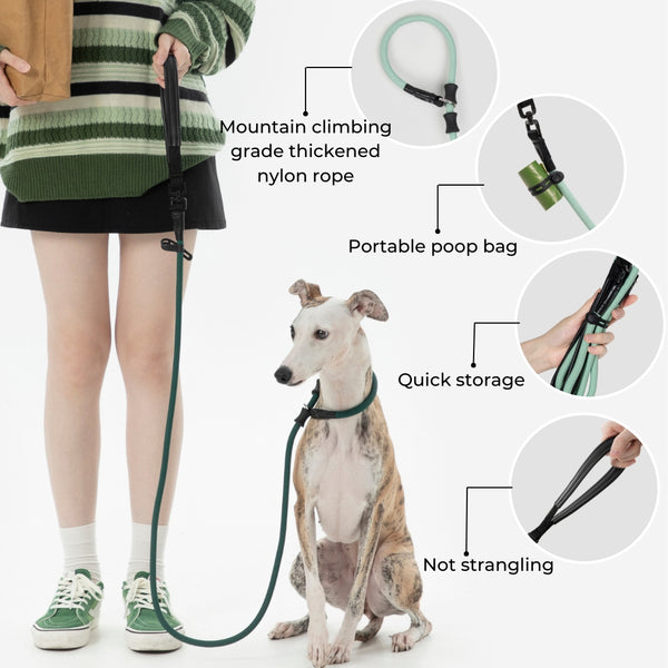 High-Quality Leather Dog Leash from Pawjourneys: