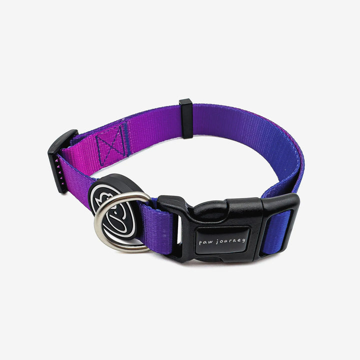 Paw Journeys Gradient Dog Collar Purple