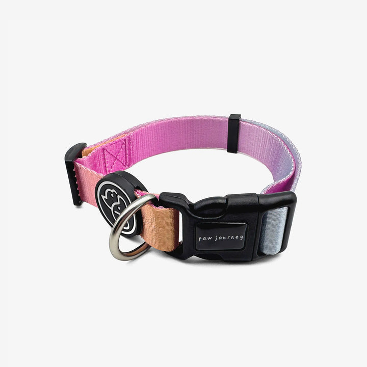 Paw Journeys Gradient Dog Collar Pink