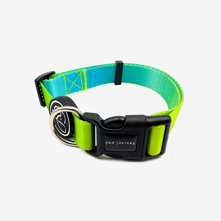 Paw Journeys Gradient Dog Collar Green