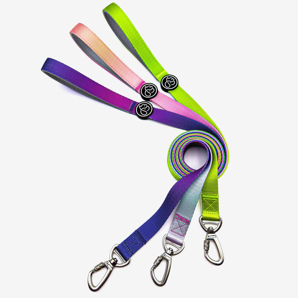 Guinzagli per cani con nastro giallo