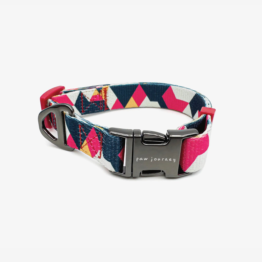 Paw Journeys Metal Buckle Dog Collar Red