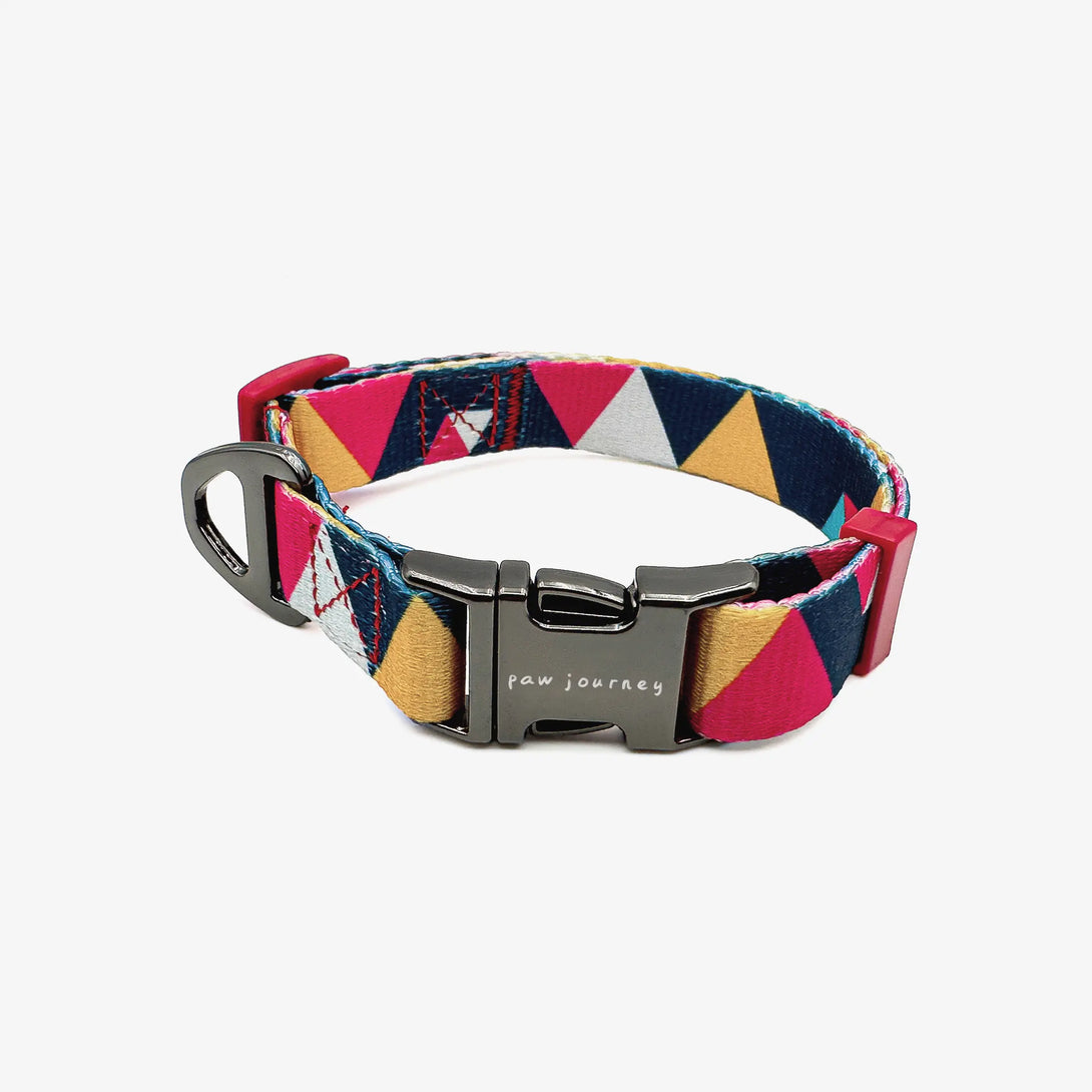 Paw Journeys Metal Buckle Dog Collar Orange