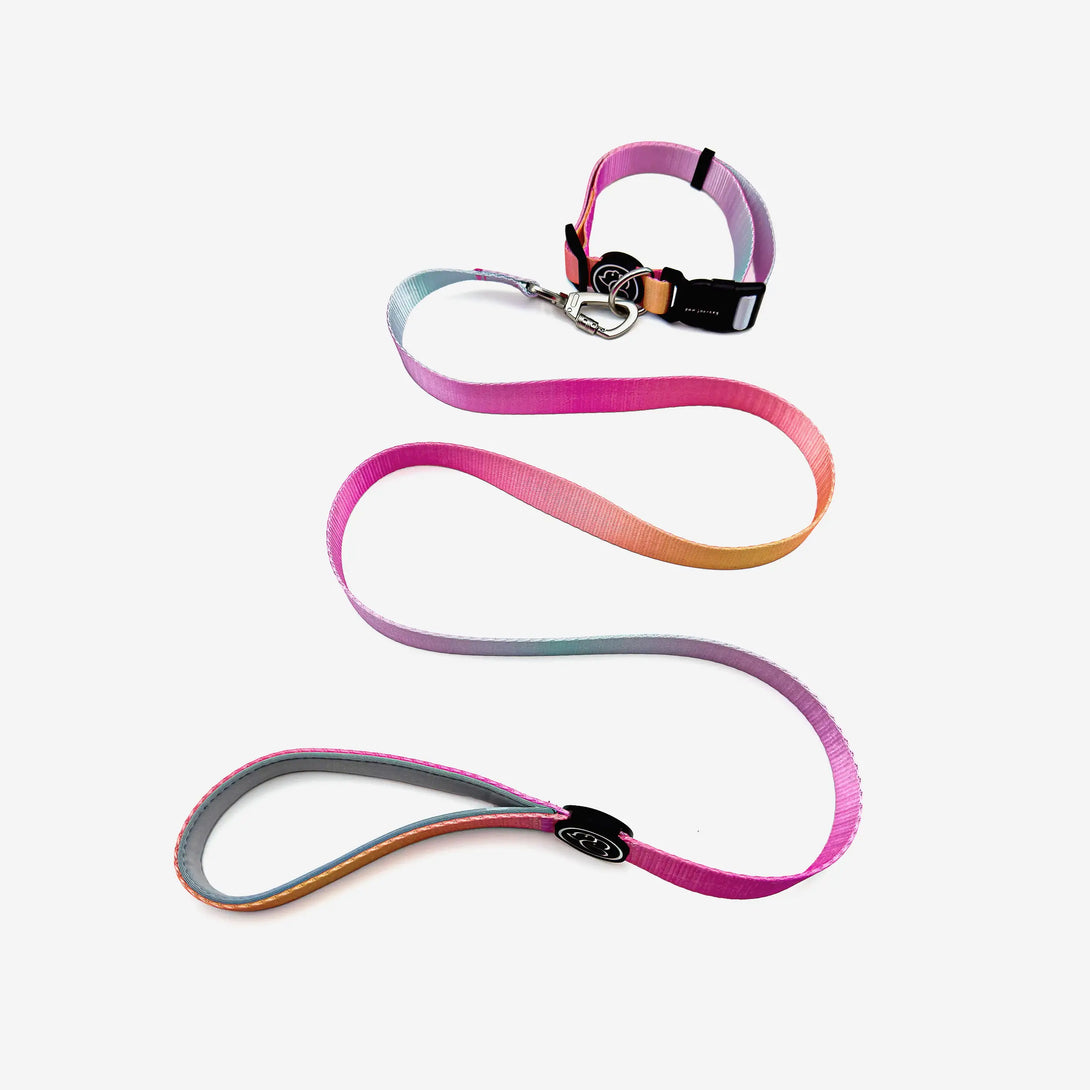 Paw Journeys | Vibrant Gradient Dog Collar & Leash Kits Pink