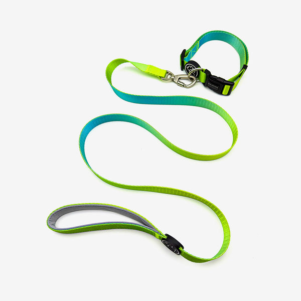 Kit collare e guinzaglio per cani con gradiente vibrante $ 31,00 USD