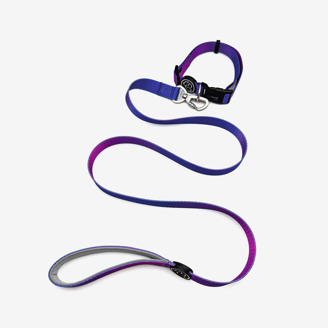 Paw Journeys | Vibrant Gradient Dog Collar & Leash Kits Purple